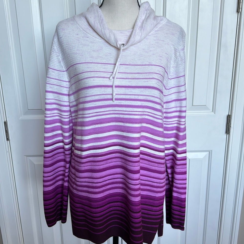 T by Talbots funnel neck ombré stripe pullover. Never worn!
